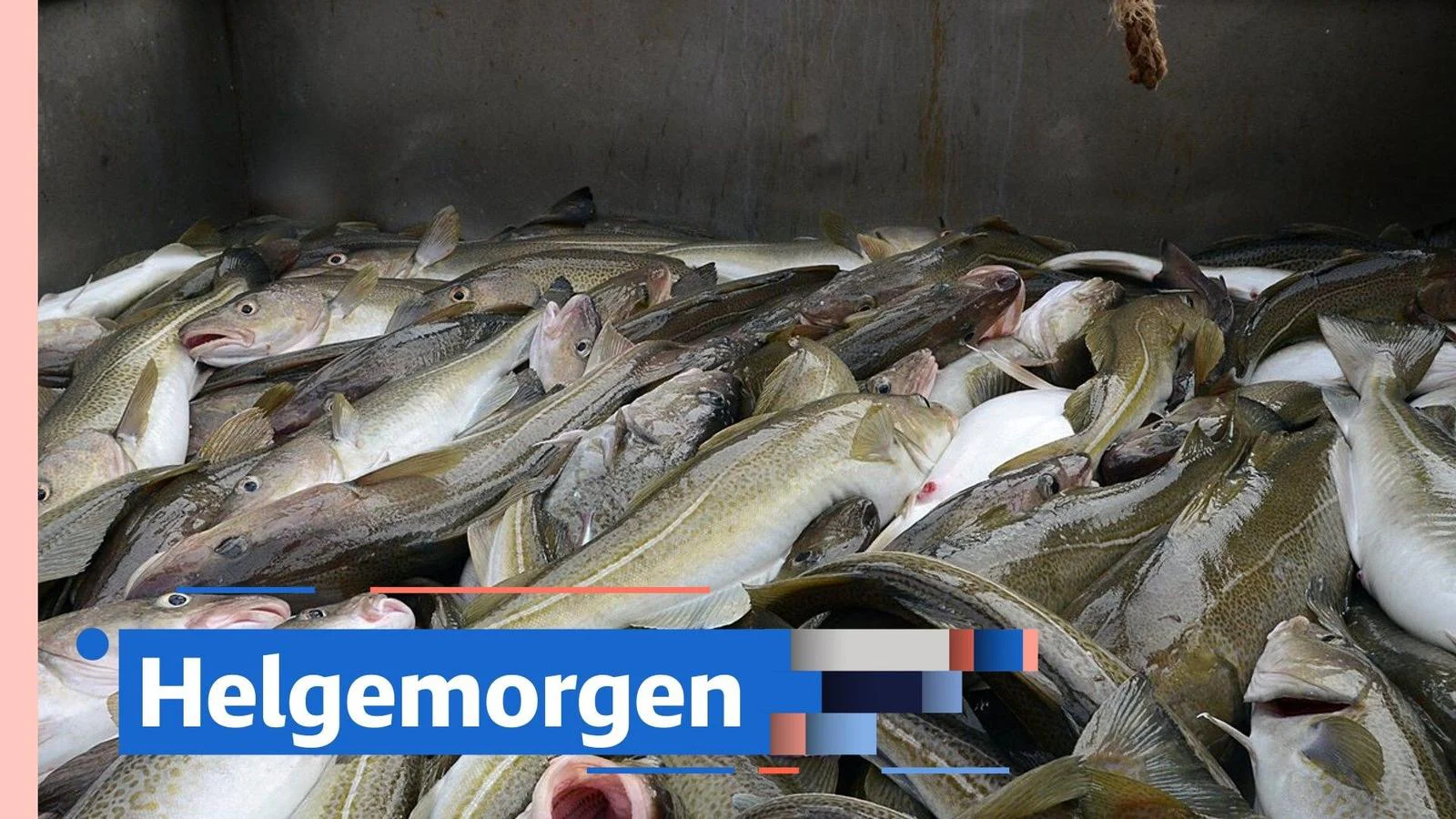 NRK Helgemorgen-innslag med Stein-Erik Mellemseter